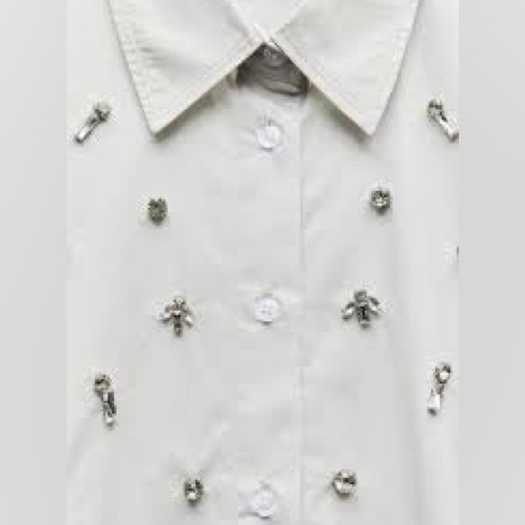 NWT. Zara Light Gray Poplin Jewel Shirt. Size XL. - Picture 4 of 8